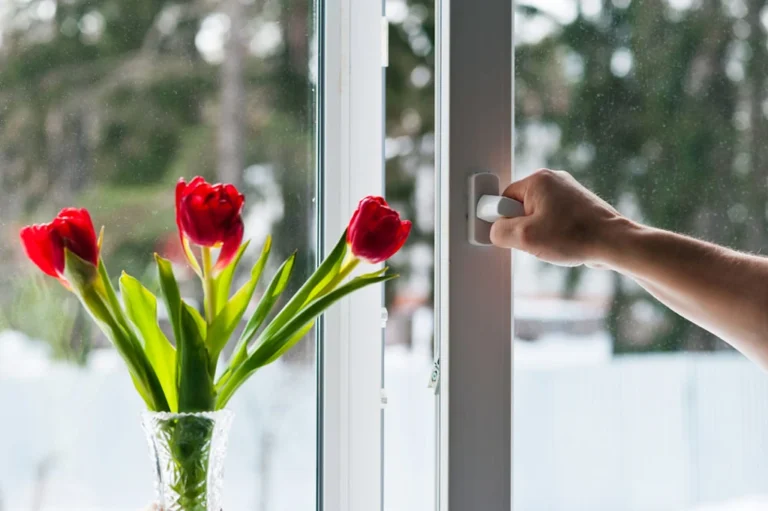 Ventanas de PVC en primavera instaladas por profesionales